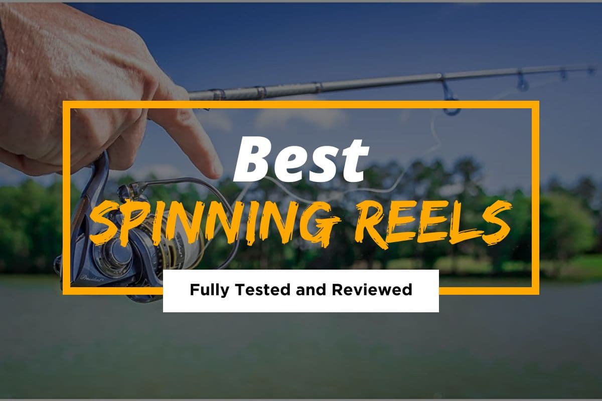 10 Best Spinning Reels in 2021 – Fully Tested and Reviewed