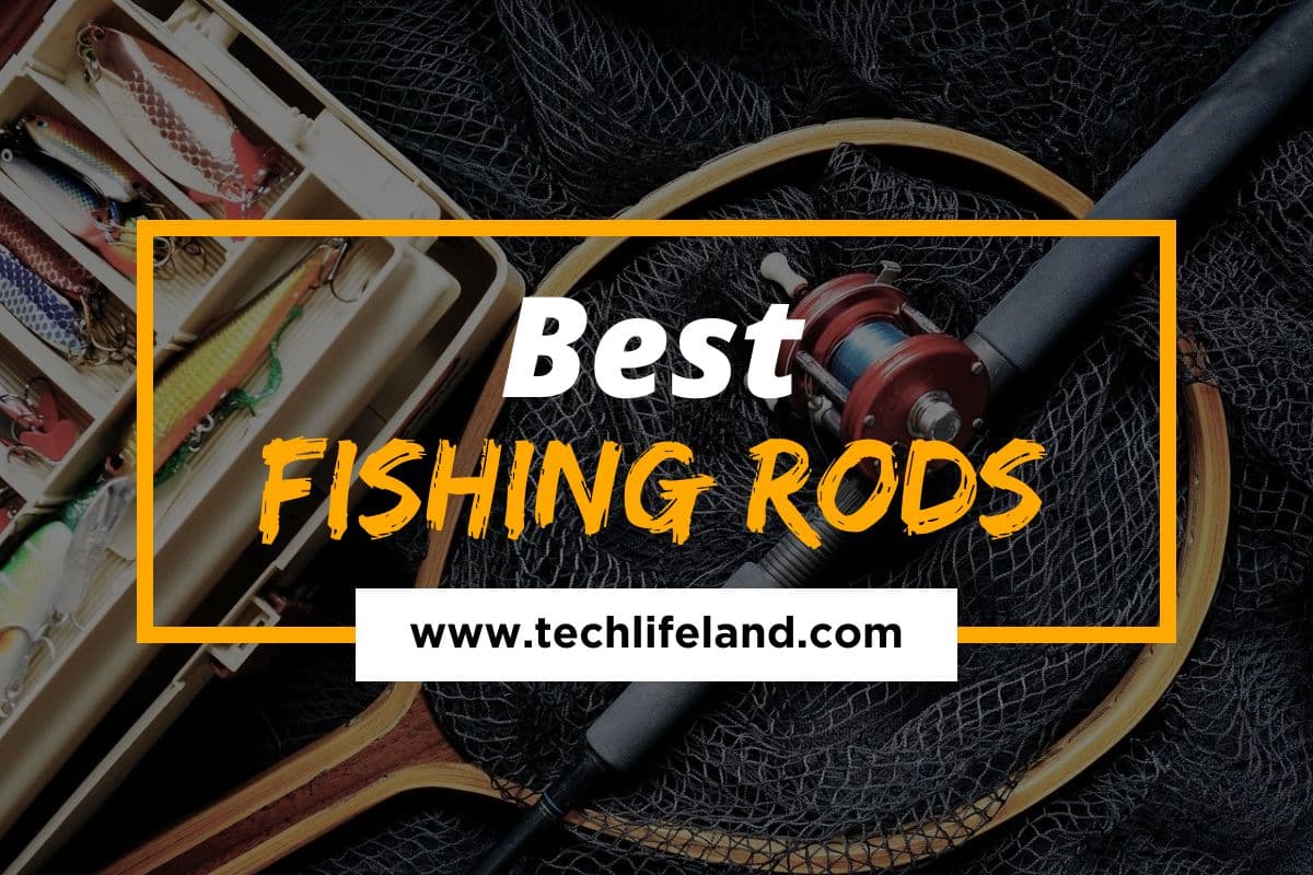 Best Fishing Rods Buying Guide